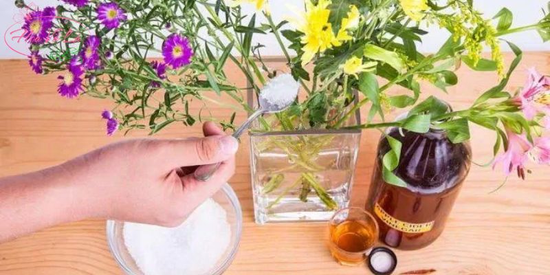 Cách giữ hoa tươi lâu đơn giản tại nhà cho người mới