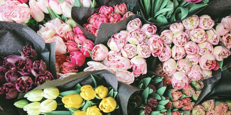 Tại sao chúng ta nên chọn hoa tặng sinh nhật?