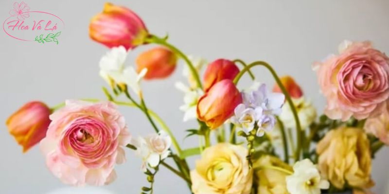Tại sao hoa tươi lại nhanh héo?