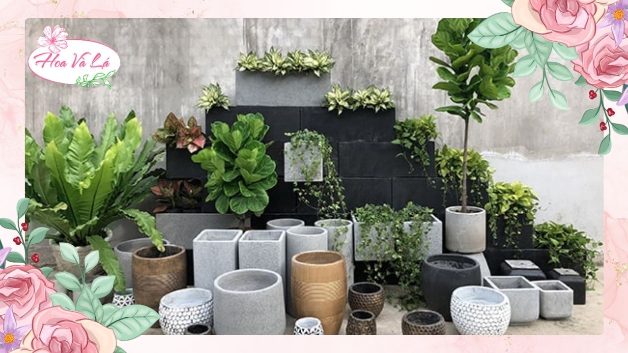 Học cách kiên nhẫn và chăm sóc qua từng chiếc lá