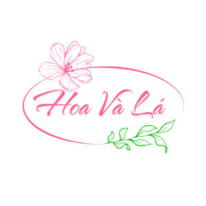 hoa và lá