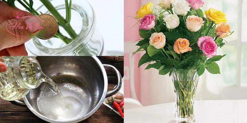Cách Giữ Hoa Tươi Lâu Đơn Giản Tại Nhà Chỉ Với Vài Bước Nhỏ