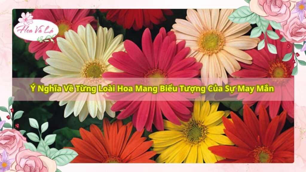 Ý Nghĩa Về Từng Loài Hoa Mang Biểu Tượng Của Sự May Mắn