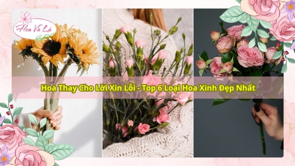 Hoa Thay Cho Lời Xin Lỗi - Top 6 Loại Hoa Xinh Đẹp Nhất